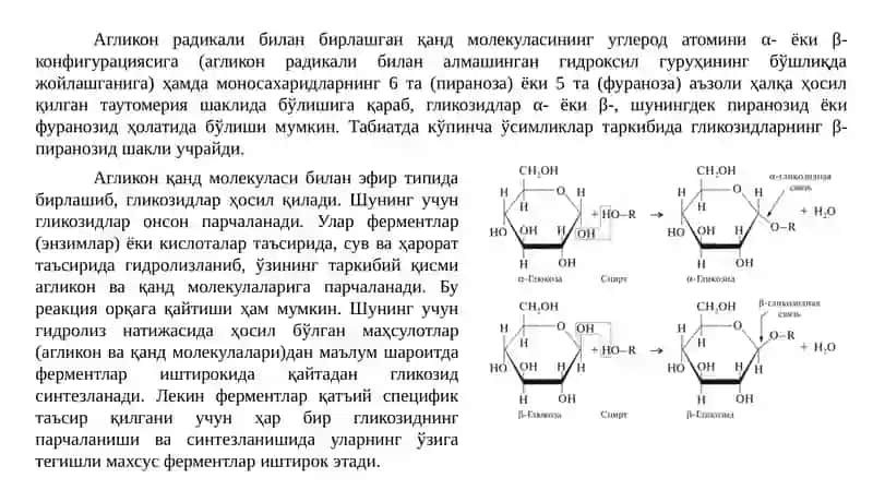 DORIVOR O‘SIMLIKLARNI GLIKOZIDLAR BO‘YICHA ANIQLASH, ANALIZ QILISH. 3