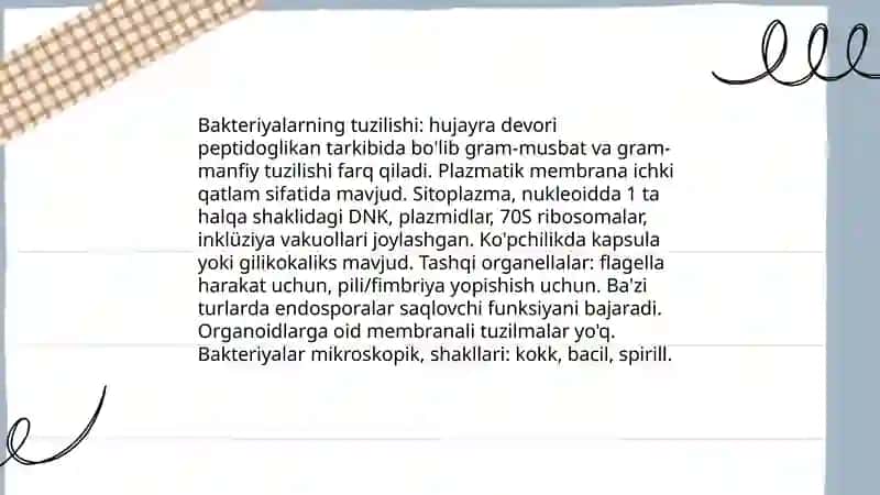 Bakteriyalar 3