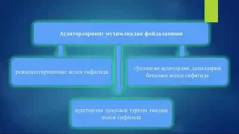 АУДИТОРЛИК ТЕКШИРУВИДА МУҲИМЛИК ВА РИСК 3