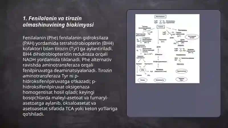 Fenilalanin va tirozin almashinuvi,bolalarda kuzatiladigan tug’ma kasalliklar 3