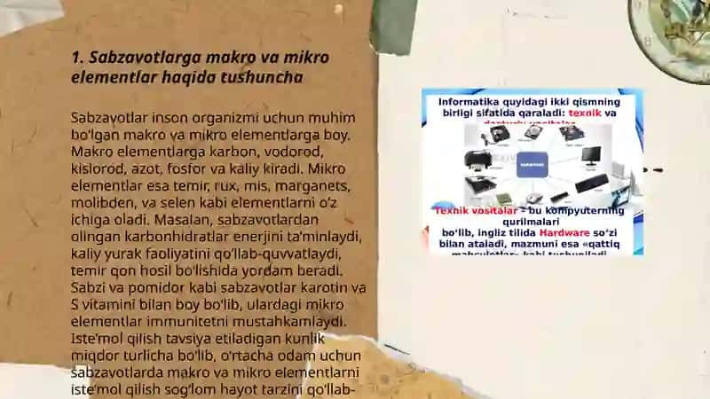 Himoyalangan yerlarda sabzavotlarga makro va mikro itlarni qoʻllash 3