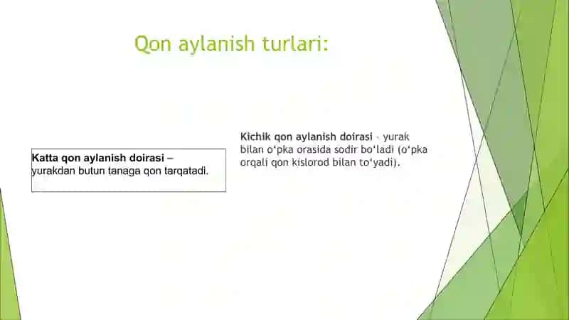 Qon Aylanish Sistemasi 3