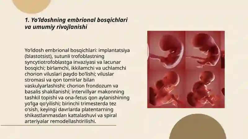 Reja: Yoʻldoshning embrional bosqichlari va umumiy rivojlanishi 3