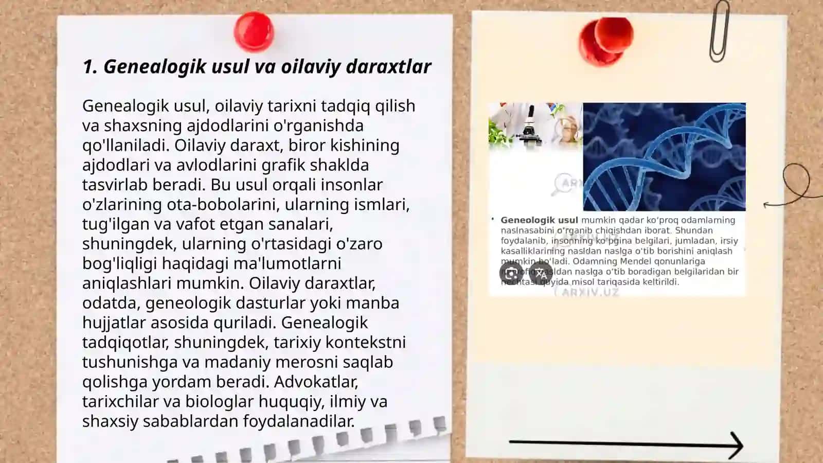 Odam genetikasining oʻrganish usullari: geneologik, populyatsion statistik va egizaklar usuli 3