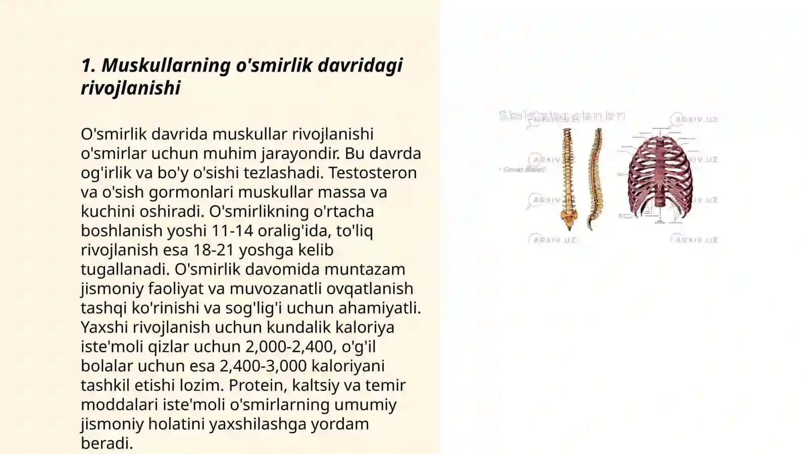Muskullarning yoshga oid xususiyatlari va gigiyenasi 3