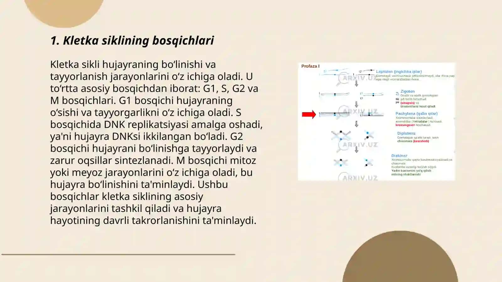 Kletka sikli ham oniñ ahmiyeti microorganizmler genetikasi 3