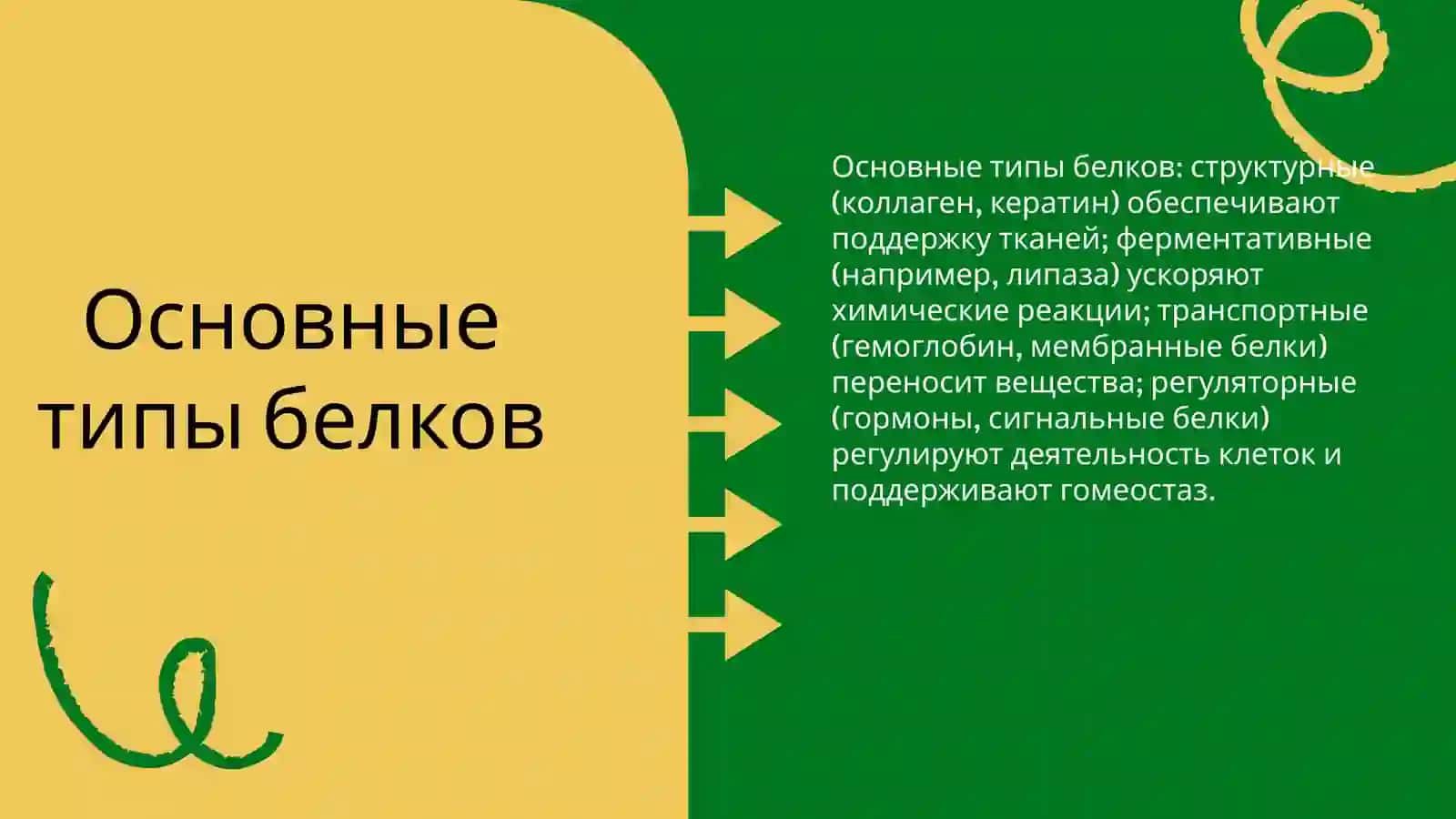 Классификация белков 3