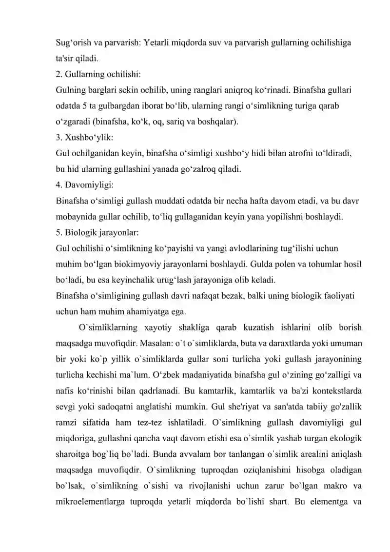 Binafsha o'simligi 3