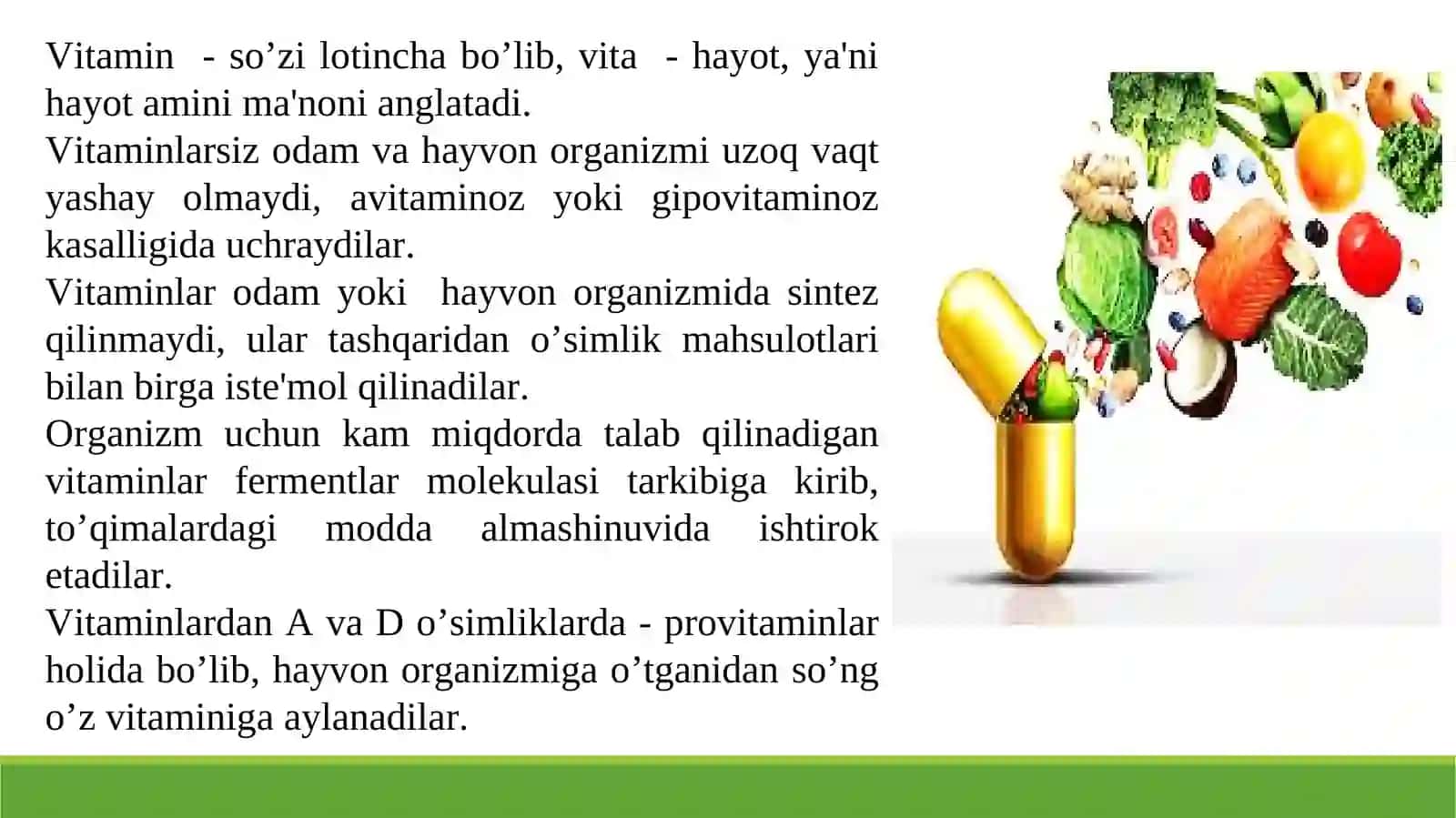 Vitaminlar Saqlovchi Dorivor O’simlik Xom Ashyolari 3