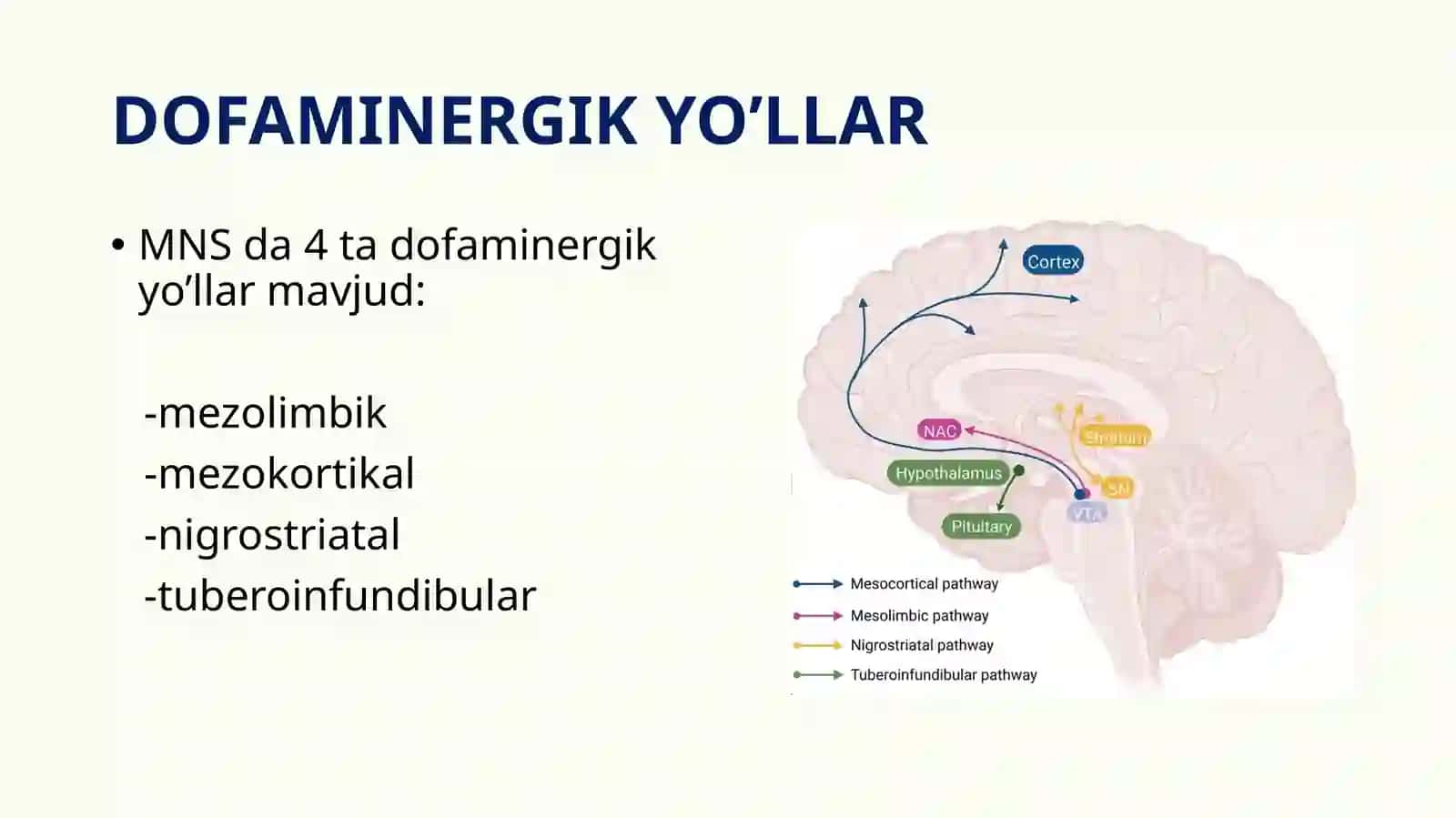 Antipsixotik DORILAR 3