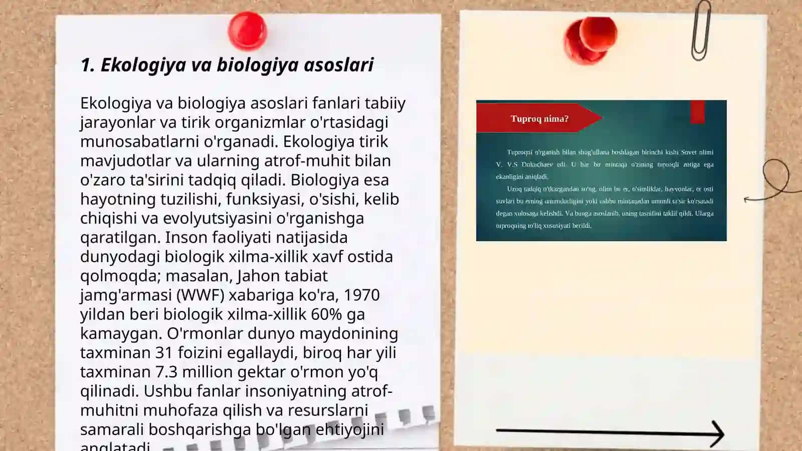 Ekalogik tizm turlari bialogikmahsuldorligi 3