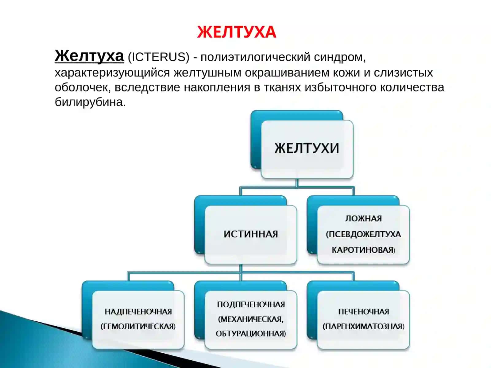 ЖЕЛТУХИ 3