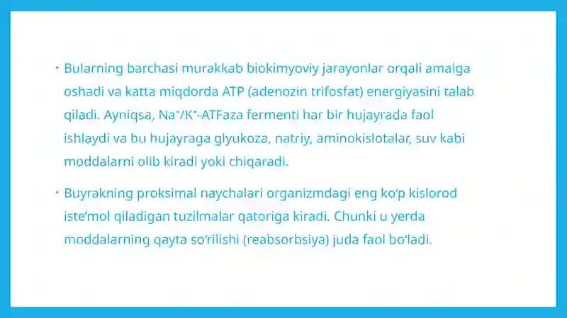 Buyrakning energiya bilan taminlanishining asosiy yollari 3