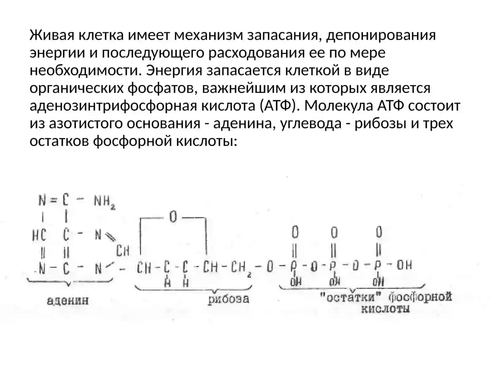 Mеханизм биохимического окисления железа и серы 3