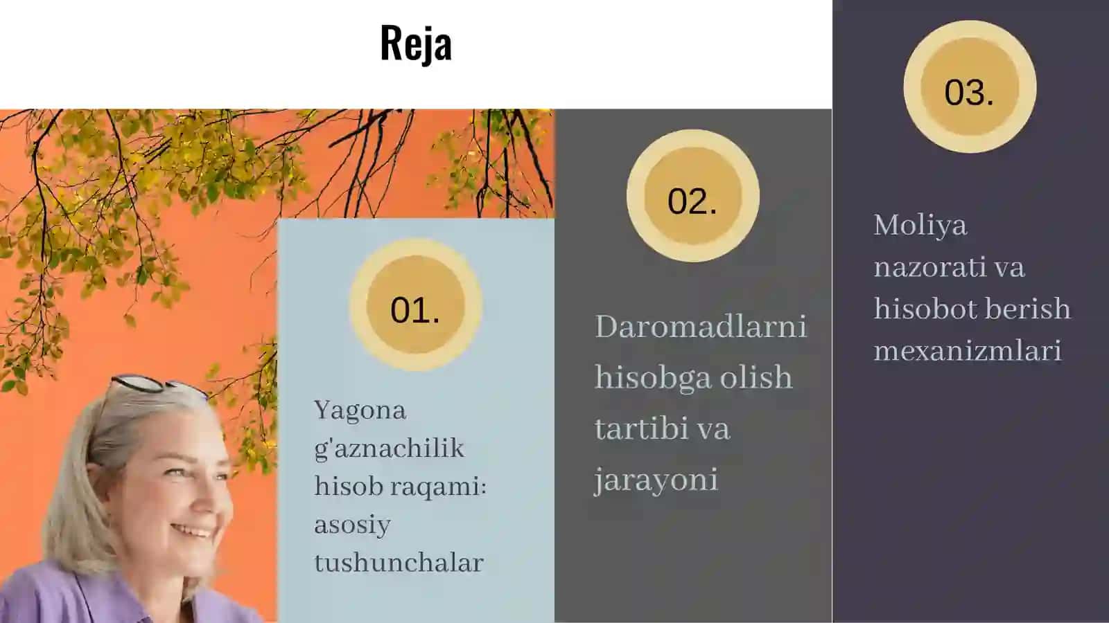 Davlat byudjeti daromadlarini yagona g'aznachilik hisob raqamida hisobga olish xususiyatlari 3