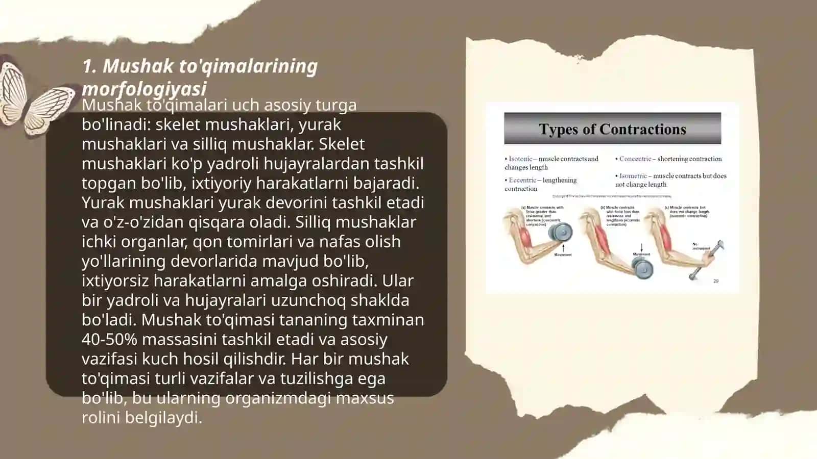 Mushak qisqarish mexanizmining morfologik asoslari 3