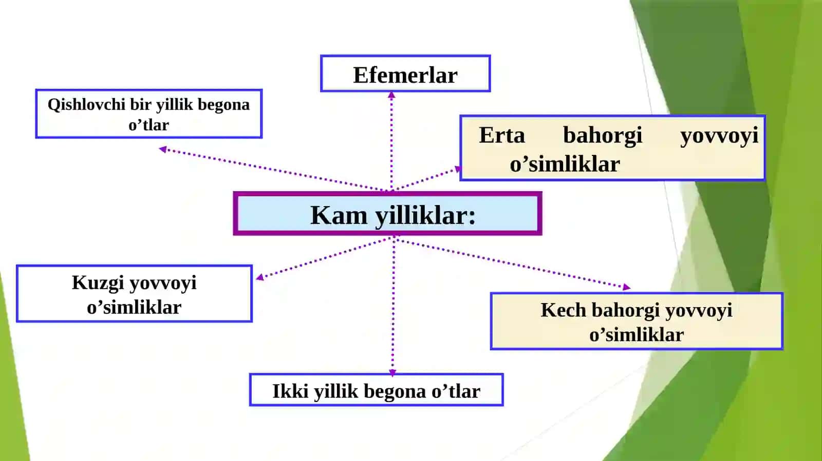 Organik dehqonchilik va o'rmon melioratsiya 3