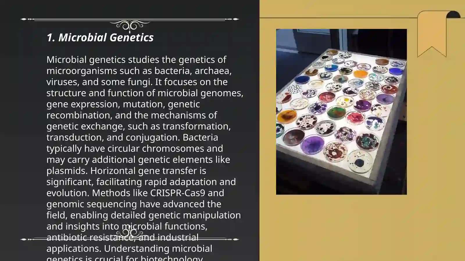 Microbial Genetics 3