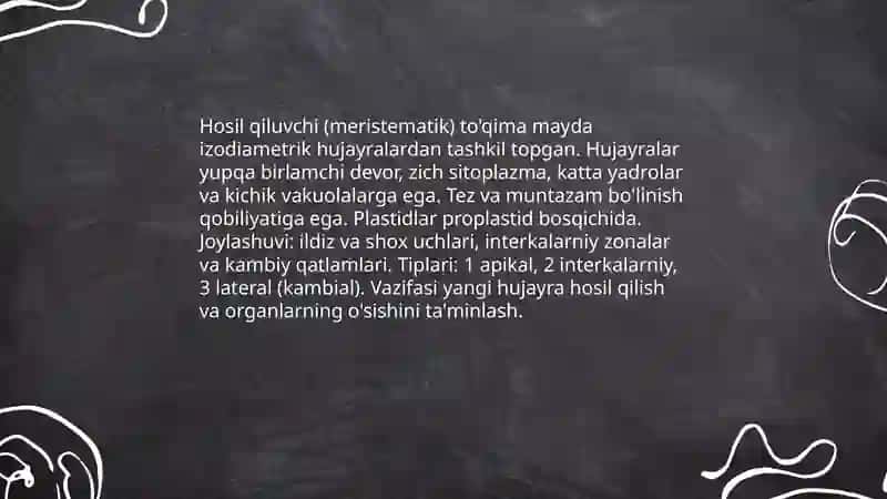 Hosil qiluvchi to'qimaning tuzilishi va vazifalari 3