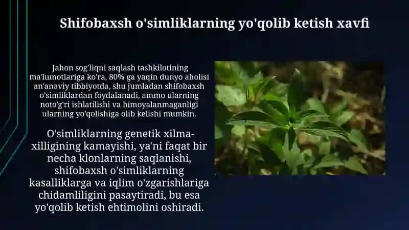 Dorivor ósimliklar va ularning muhofazasi 3