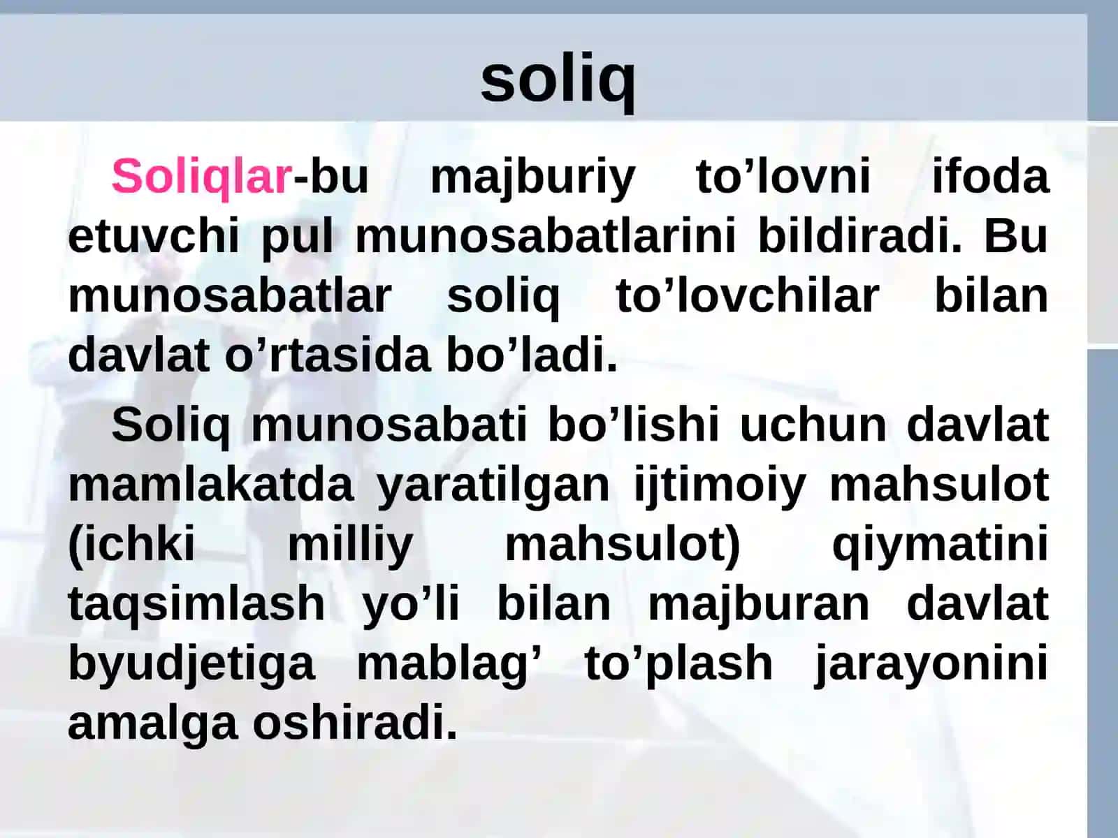 SOLIQ VA SOLIQQA TORTISH 3