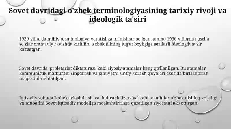 Sobiq sho‘rolar davri o‘zbek terminologiyasi 3