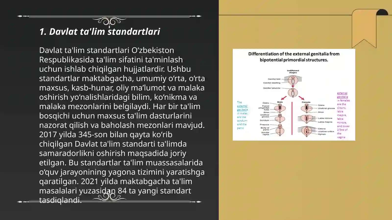 Davlat ta'lim standartlari 3