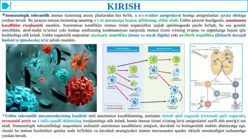 IMMUNOLOGIK TOLERANTLIK NUQSONLARI. AUTOIMMUN XASTALIKLAR 3