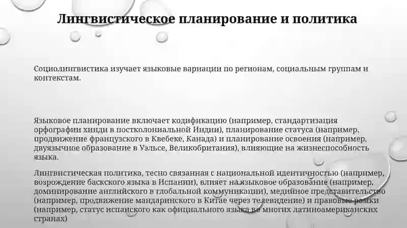 Язык как общественное явление 3