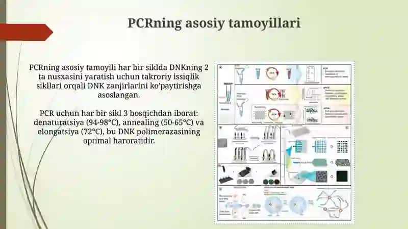 Molekulyar biologiya sohasida PZR usuli va uning fan rivojidagi yutuqlari 3