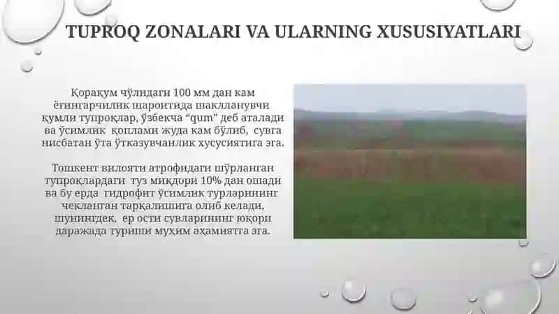 Oʻzbekistonda tuproqlar geografiyasining rivojlanishi 3