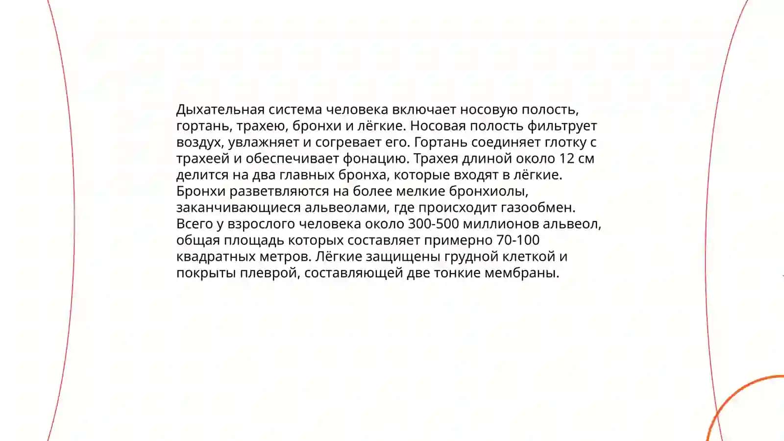 Система органов дыхания быражение целевых и условных отношений 3