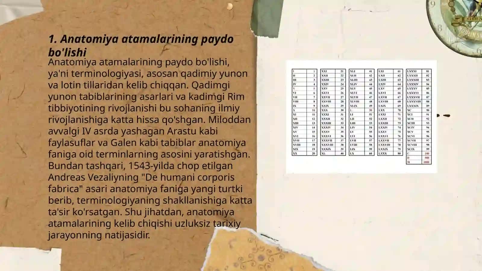 Lotin tilining anatomiyadagi terminlarda o'rni 3