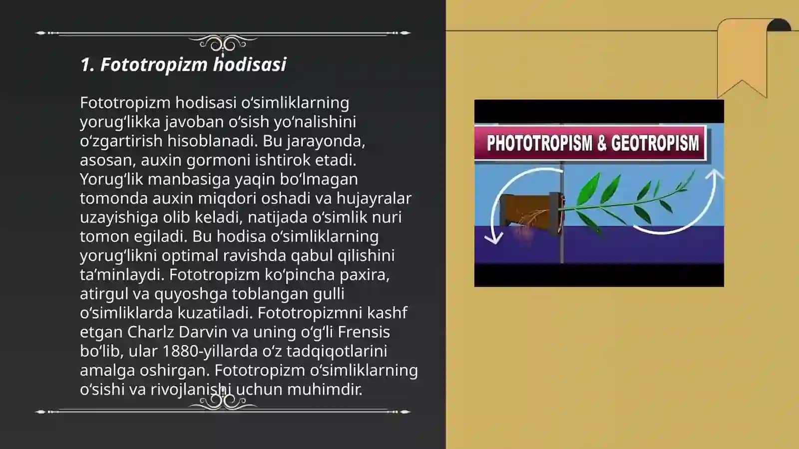 O'simliklarda Fototropizm Fotonastiya Geotropizm hodisalarini kuzatish 3