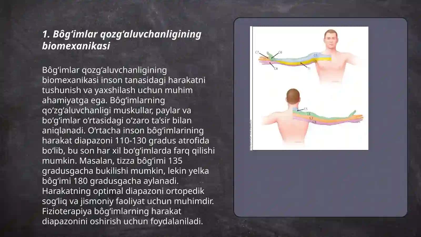 Bôğimlarning biomexanikasi. Birlashmalarning rentgenanatomiyasi 3