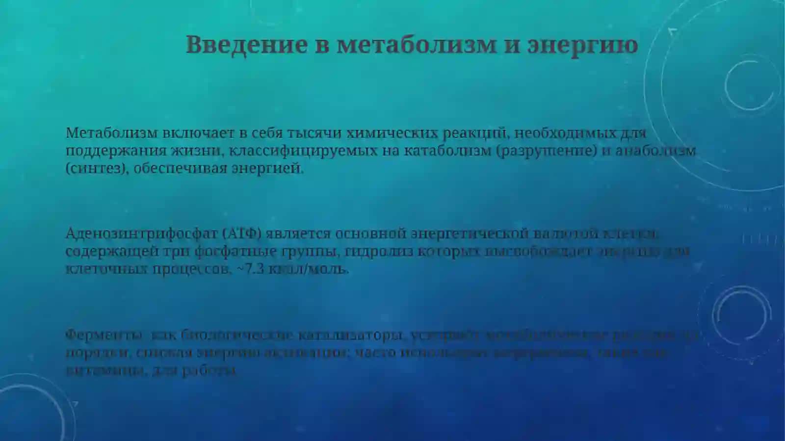 Обменвеществаиэнергии 3