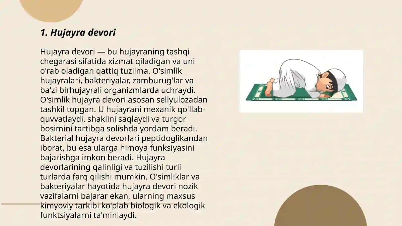 O'simlik va hayvon hujayrasining farqli va o'xshashlik belgilari 3
