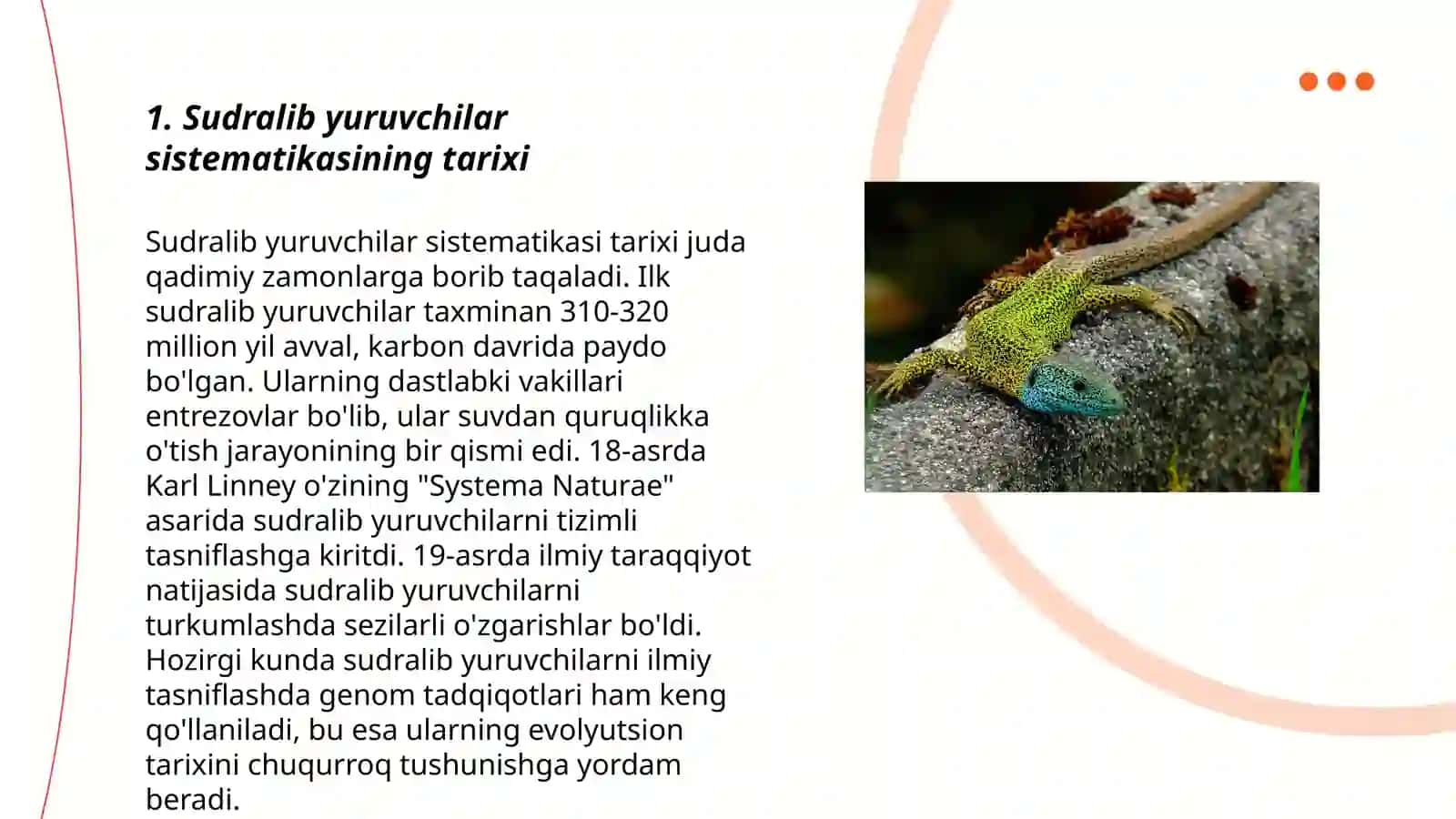 Sudralib yuruvchilar- reptiliyalarning sistematikasi 3