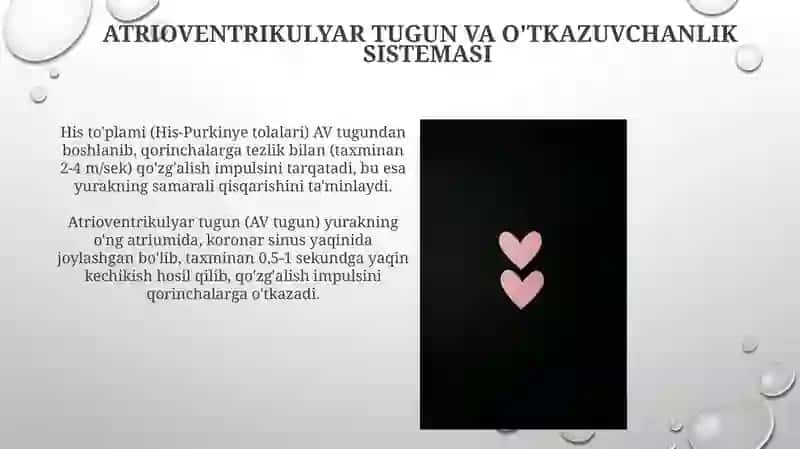 Yurak faoliyatini boshqarieh 3