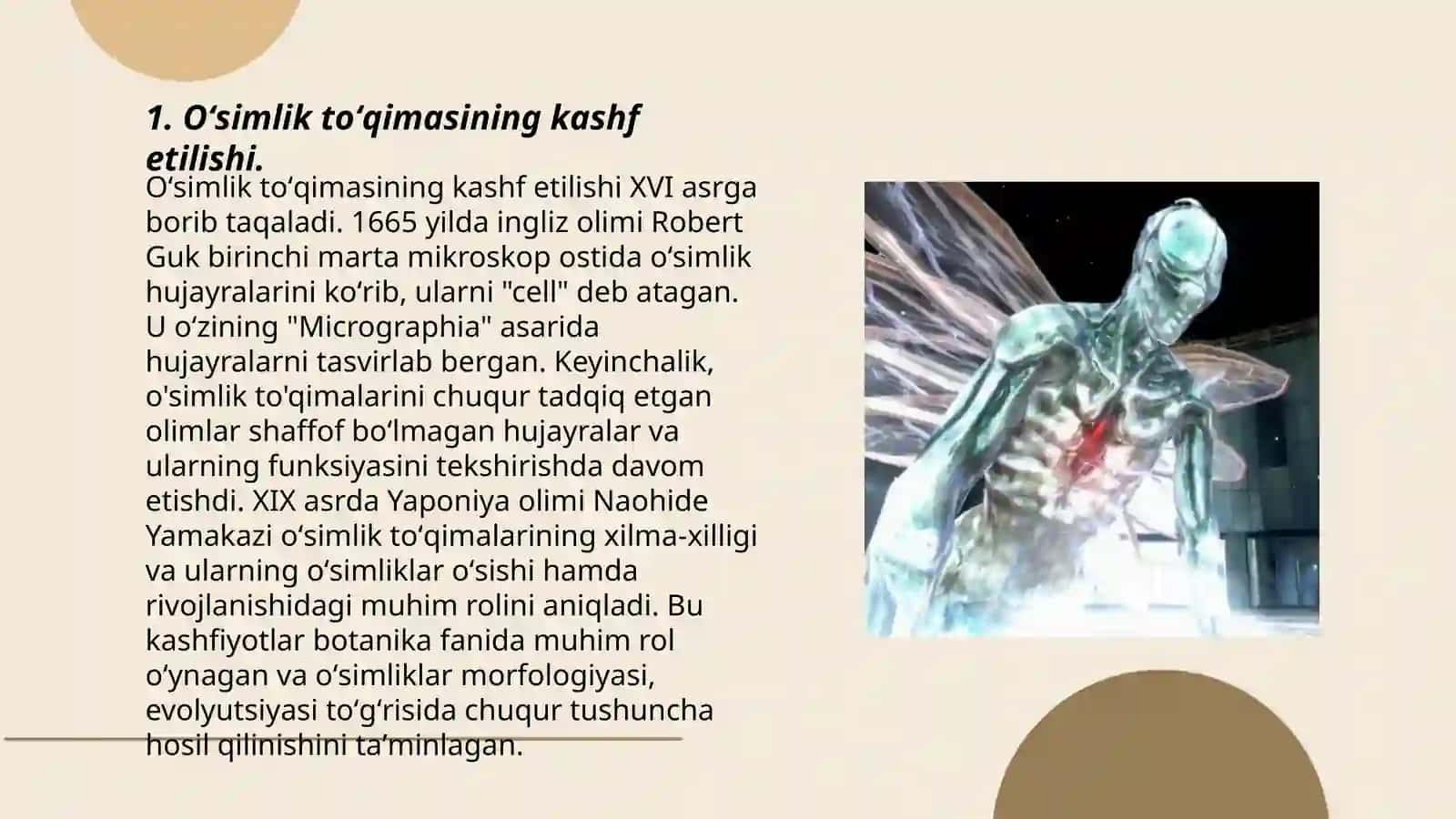 Oʻsimlik toʻqimasining kashf etilishi 3