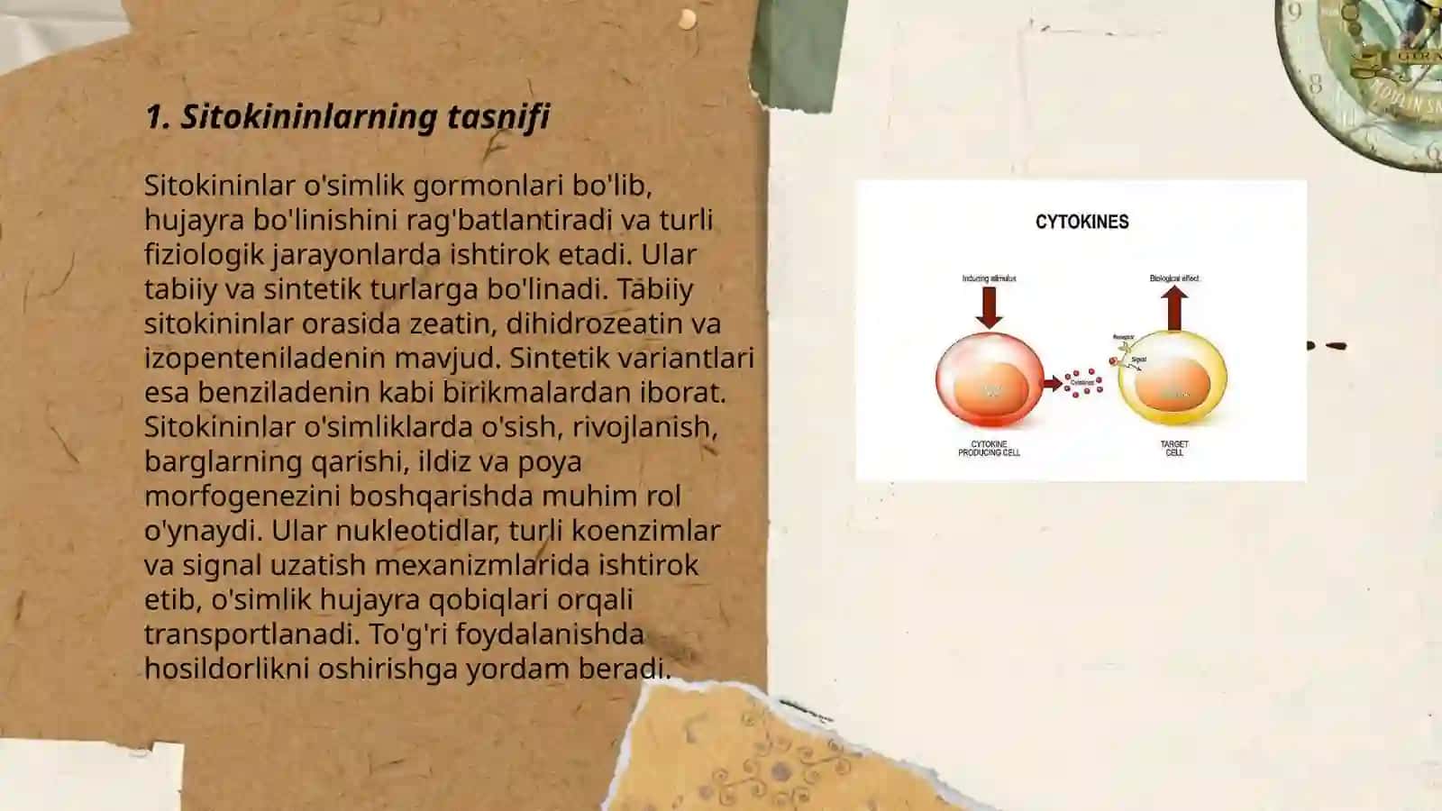 Tasnif 3