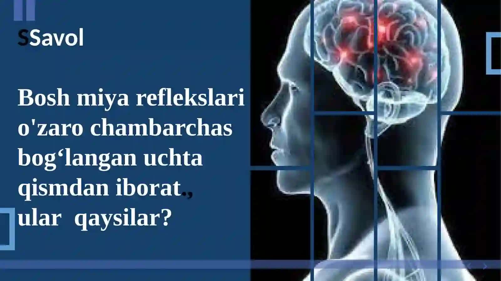 Biologik diktant 3