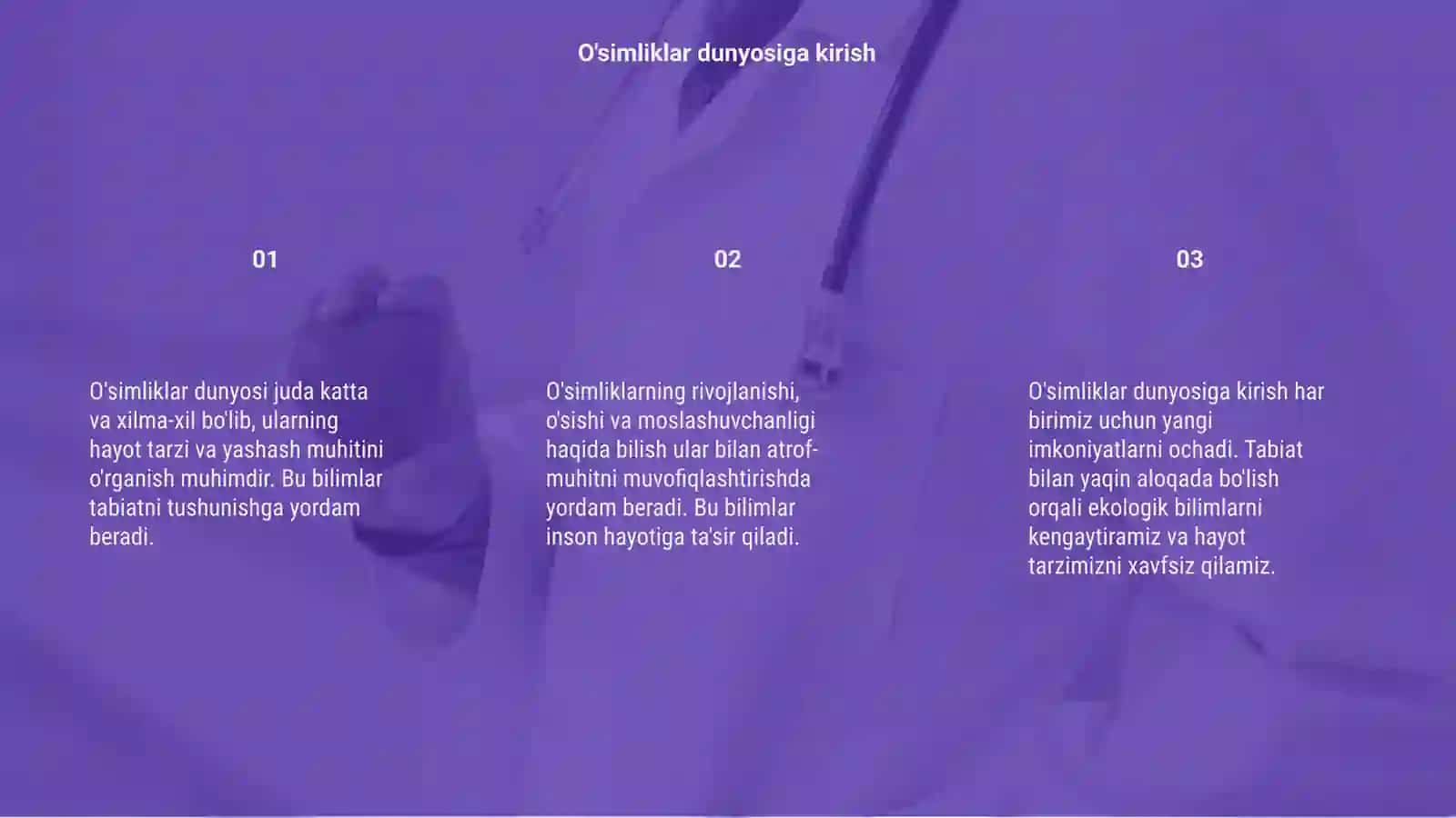 O'simliklar dunyosi va ularni hayot tarzi haqidagi bilimlarni bilib olish va tahlil qilish 3