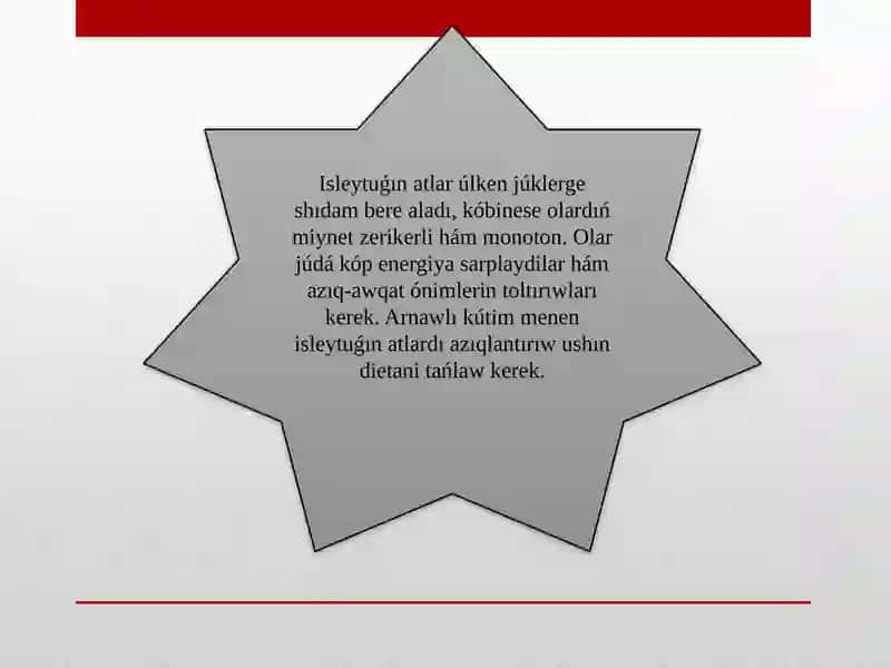 Nókis Filiali - Ta'lim Baǵdari 3
