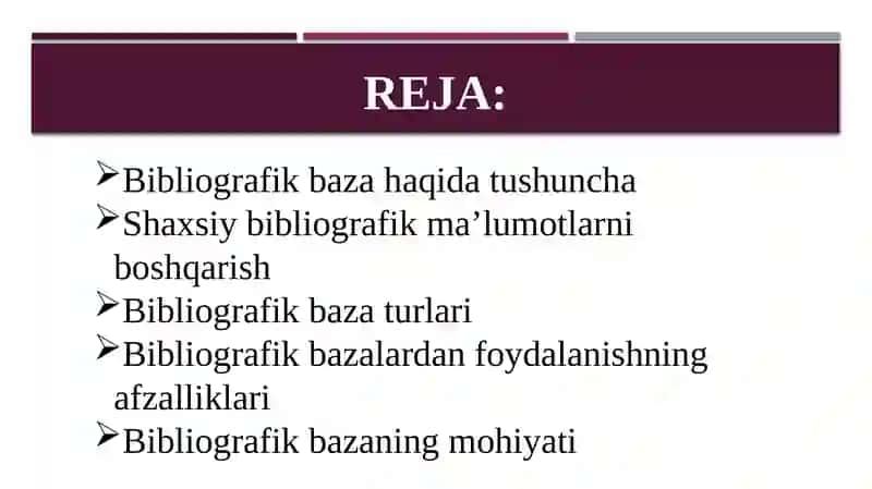 Mustaqil ishi: Ma’lumotlarning bibliografik bazasi va uning mohiyati 3