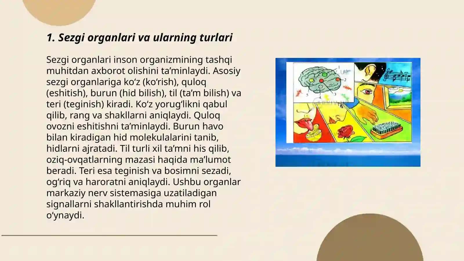 Sezgilarning tasnifi sezgilarning turlari sezgi sohasidagi qonuniyatlar 3
