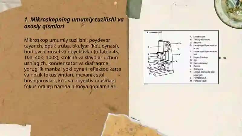Mikroskop tuzilishi va u bilan ishlash qoidalari 3