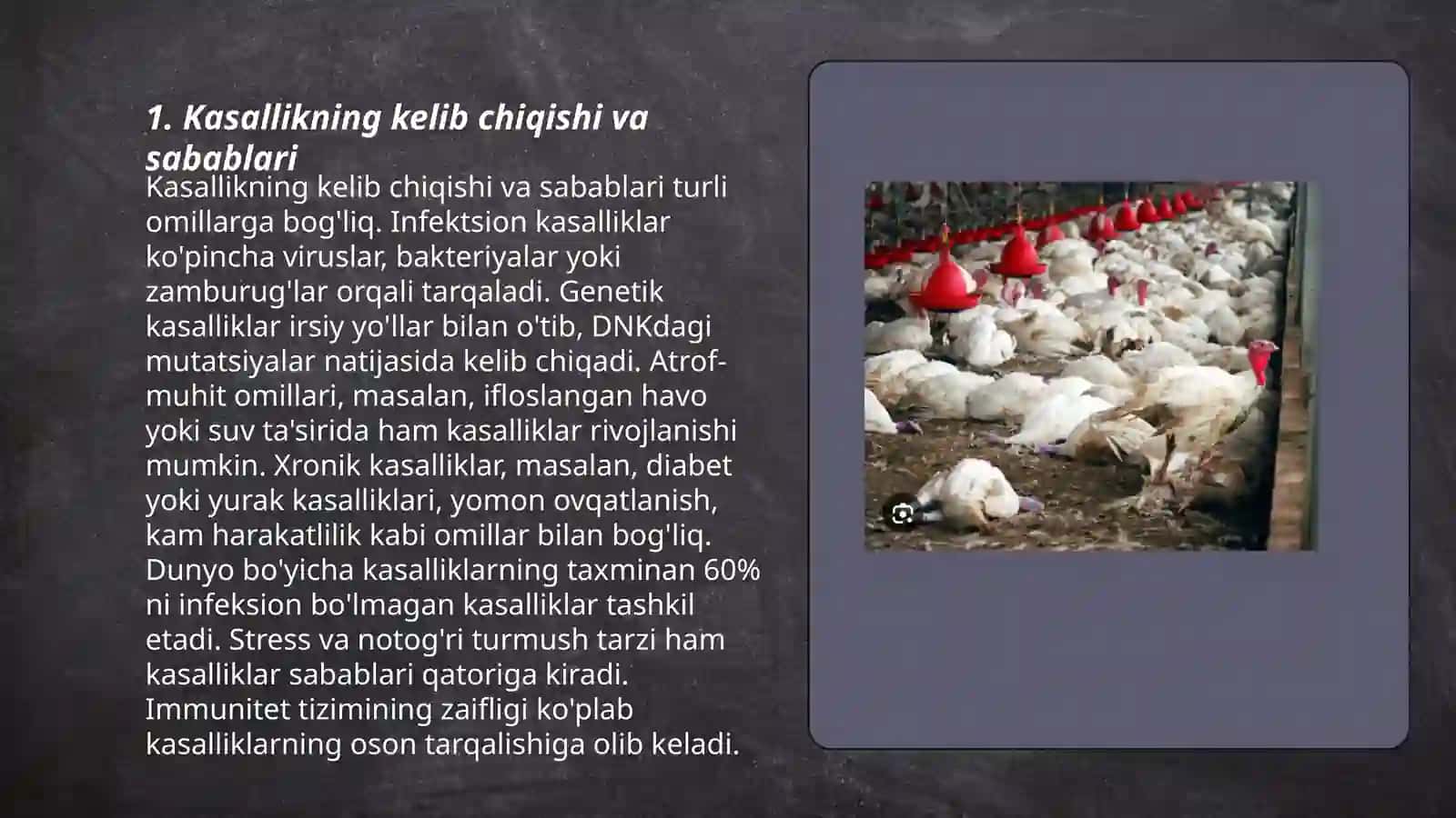 Parrandalarda tuberkulyoz kasalligi 3