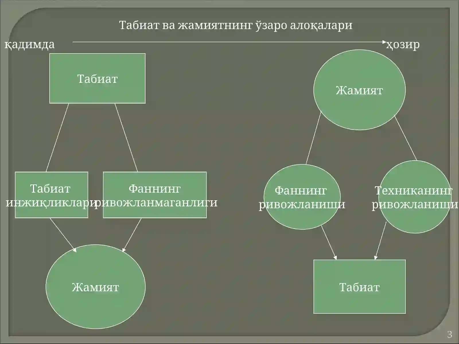 ТАБИАТ ФАЛСАФАСИ 3
