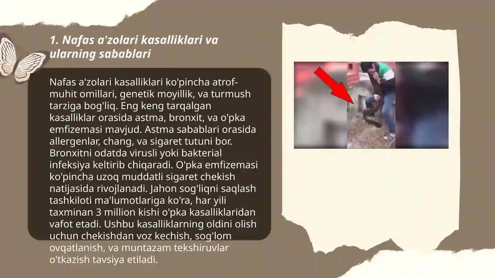 Nafas a'zolari kasalliklari va ularning sabablari 3